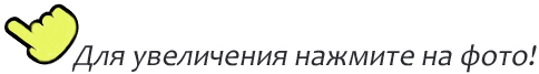 палец11.jpg палец11.jpg