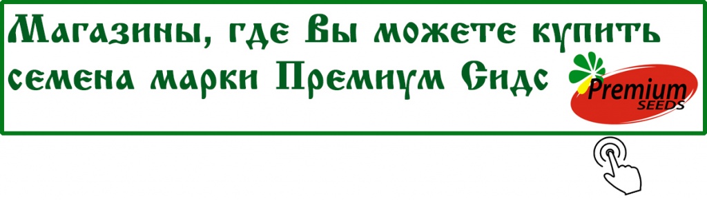 Магазины, где вы можете купить семена Премиум Сидс .jpg Магазины, где вы можете купить семена Премиум Сидс .jpg